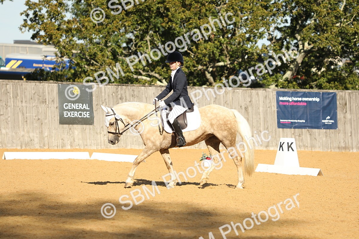 SBM_37899 - D21 - Junior Championship - Intro A