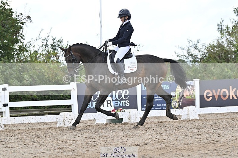 250907-165633-10829 - 113-Nicole.JahanshahiVirtual.Attraction