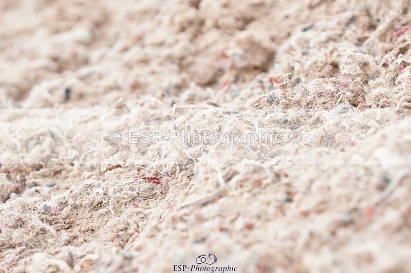 250622-135352-16076 - Cls 60 Freestyle PSG-Young Rider Inc Presentations