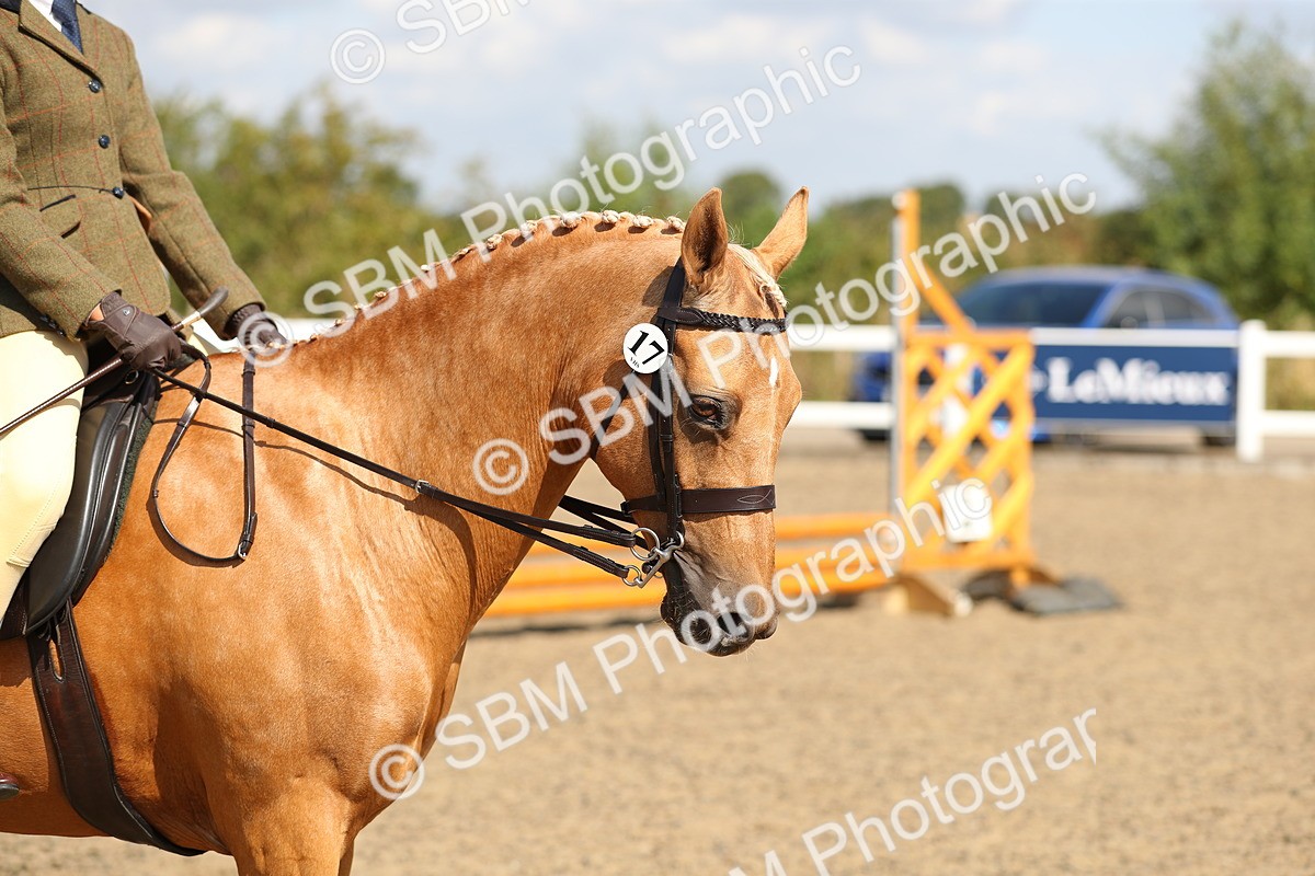 SBM_03315 - Class 45 Clear Round Jumping
