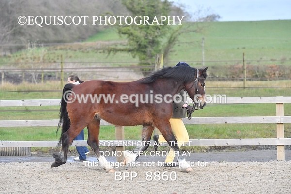 BPP_8860 - RING 2 - M&M