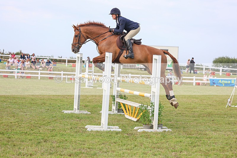 3E7A0848 - Class C: Showjumping Senior Foxhunter