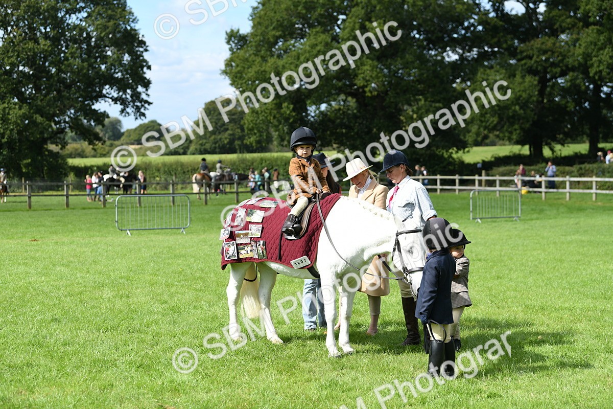 SBM_46784 - S12 - Family Horse & Pony