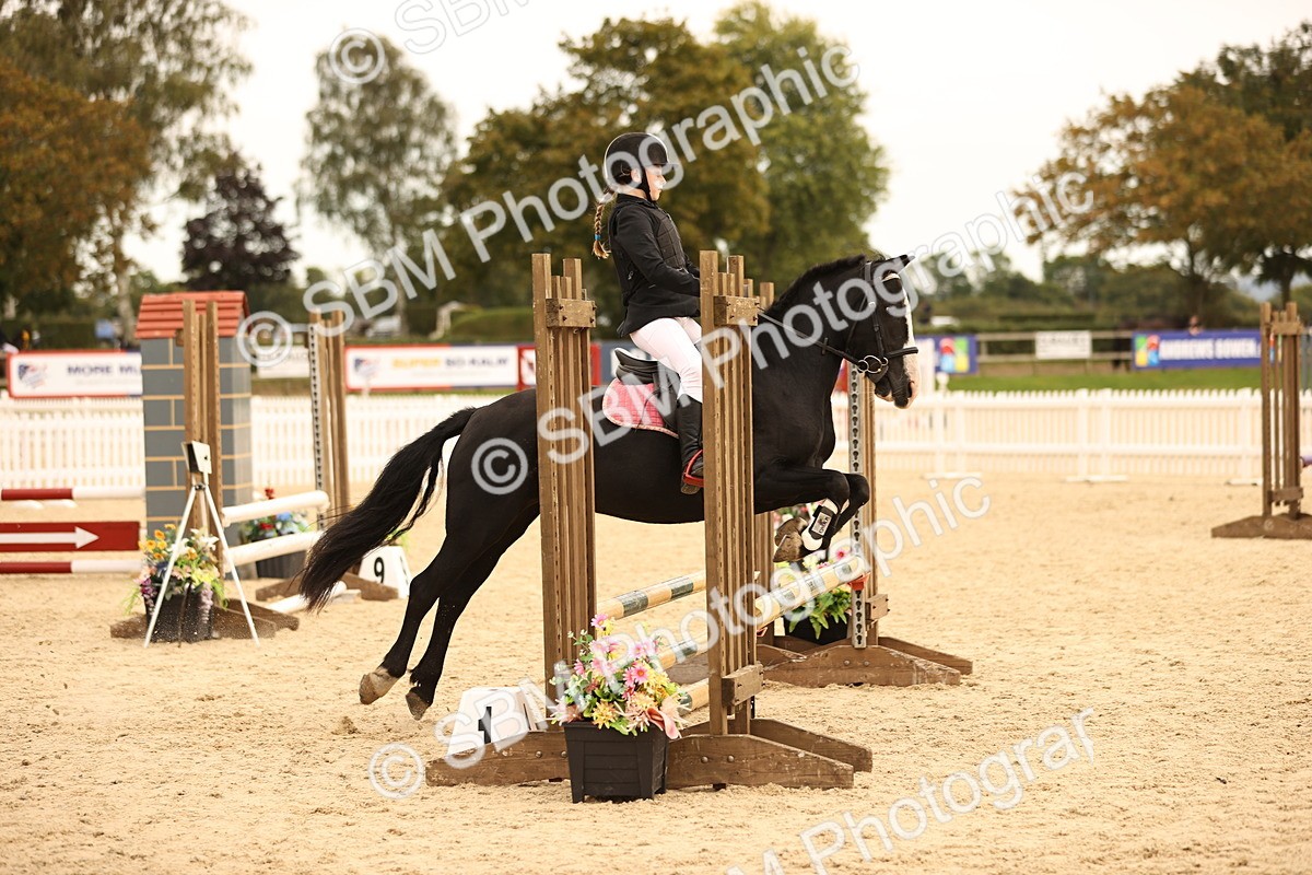 SBM_72500 - J14 - Junior Pony 65cm Championship