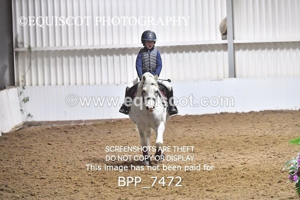 BPP_7472 - 40CM WORKING HUNTER