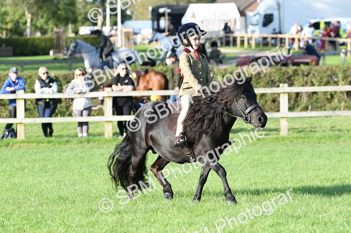 SBM_54059 - S23 - 1st Ridden Mountain & Moorland Pony