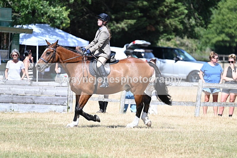 WJ7_3497 - Class 8 Ridden Veterans