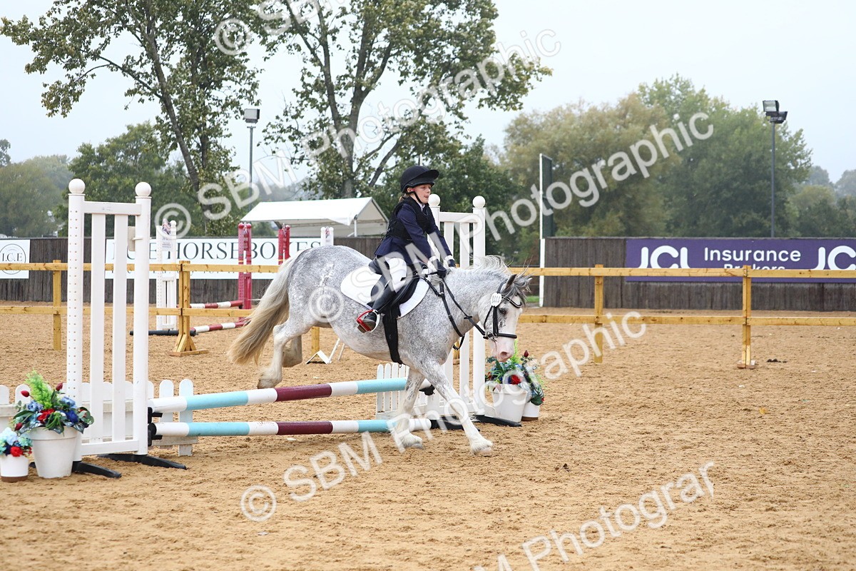 SBM_71691 - J4 - Mini Tour Junior Pony 45cm Championship