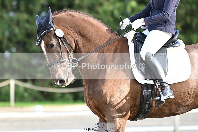 231110-141400-01878 - Cls 7 Medium 61