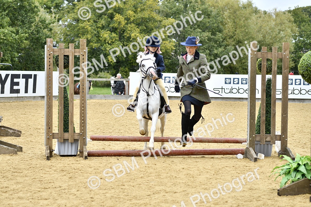 SBM_62840 - J1 - Mini Tour Junior Pony Lead Rein 30cm Championship