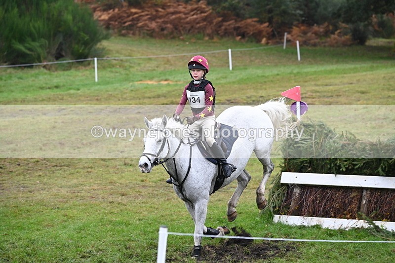 WJ6_2312 - 80cm Cam 1 Time 10:47 to 11:22