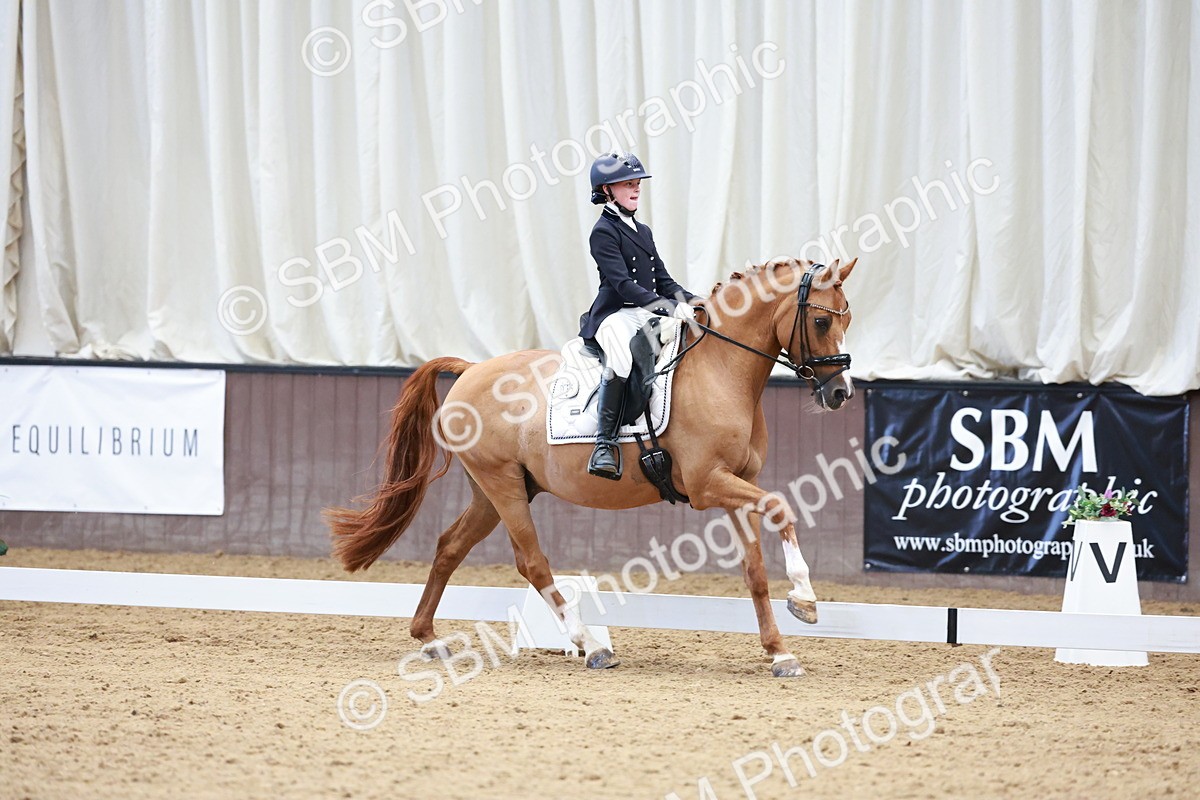 SBM_017079 - Class15 - FEI Pony