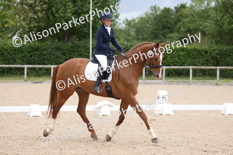 20250604-0603 - Class 3 - Novice 5