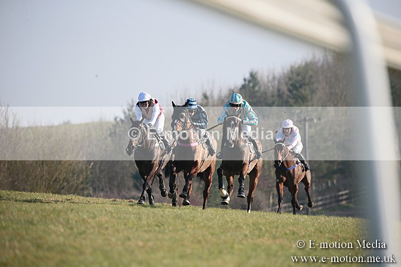 PtP 230219 439 - Vine & Craven Point-To-Point - Barbury 23/02/19