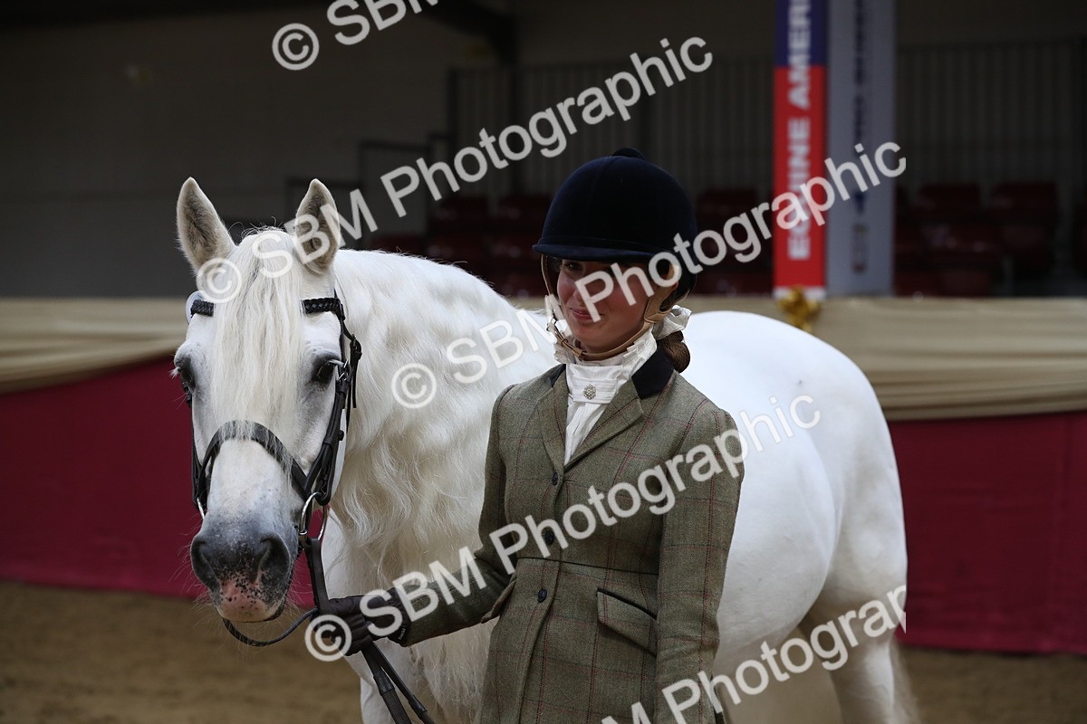 SBM_04413 - Class 7R Regional - IH Diamond