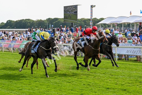 130625-Race 6-Forager-9935 - Race 6 4.45pm Constant Security Services Handicap