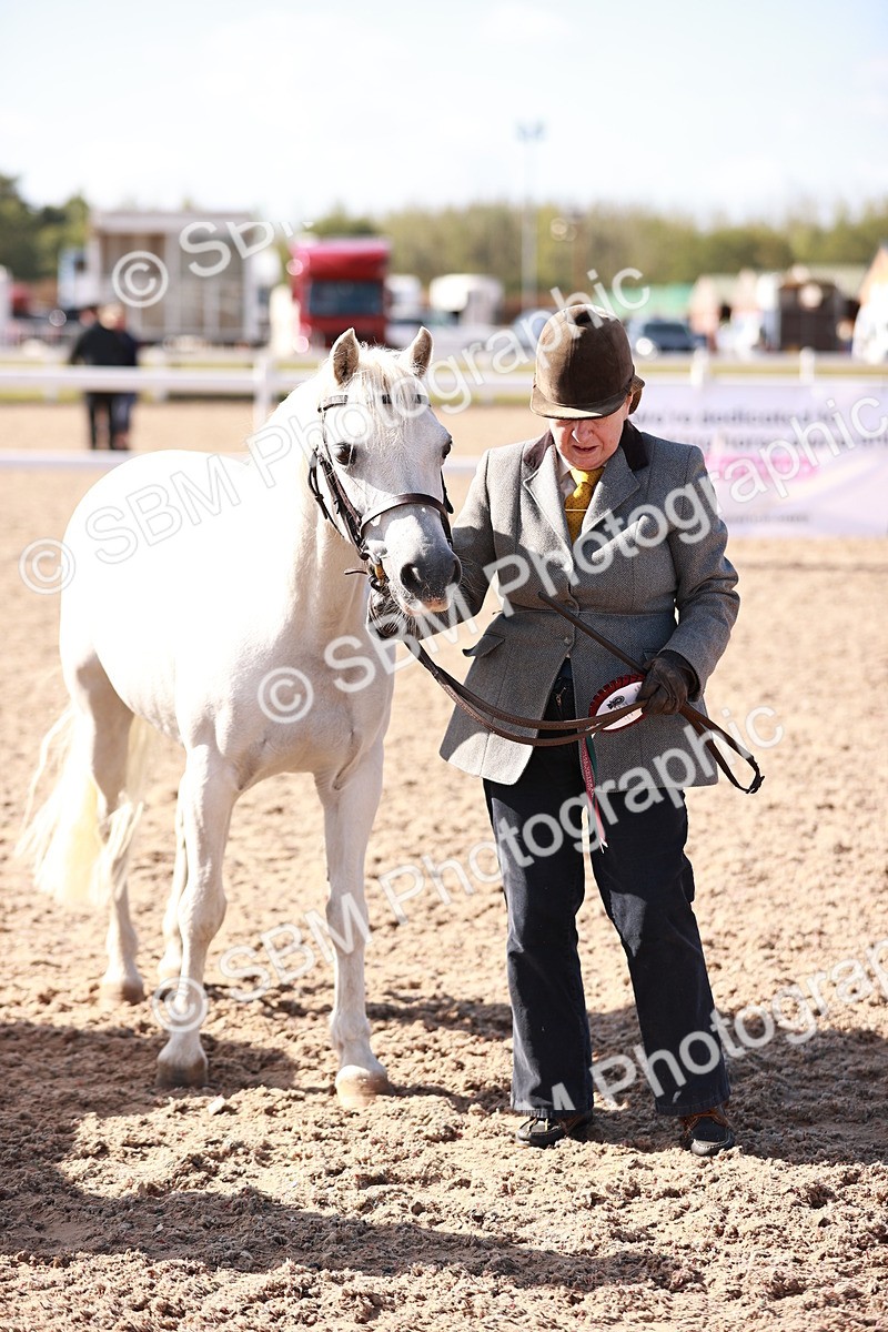 SBM_22845 - Class 705 - IH Combination 65+