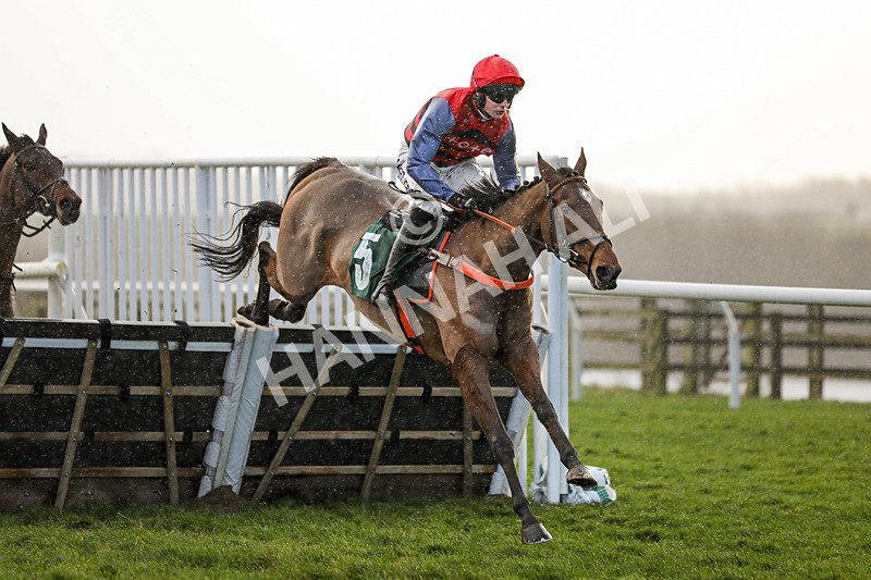 281223-Race 4-Lavida Adiva-3410 - Race 4