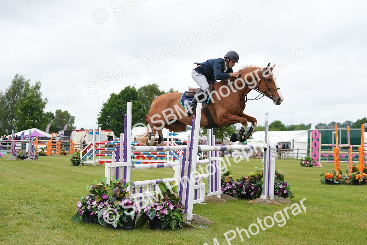 SBM_03463 - Class 201 - British Horse Feeds Speedi Beet Horse of the Year Show Grade  C