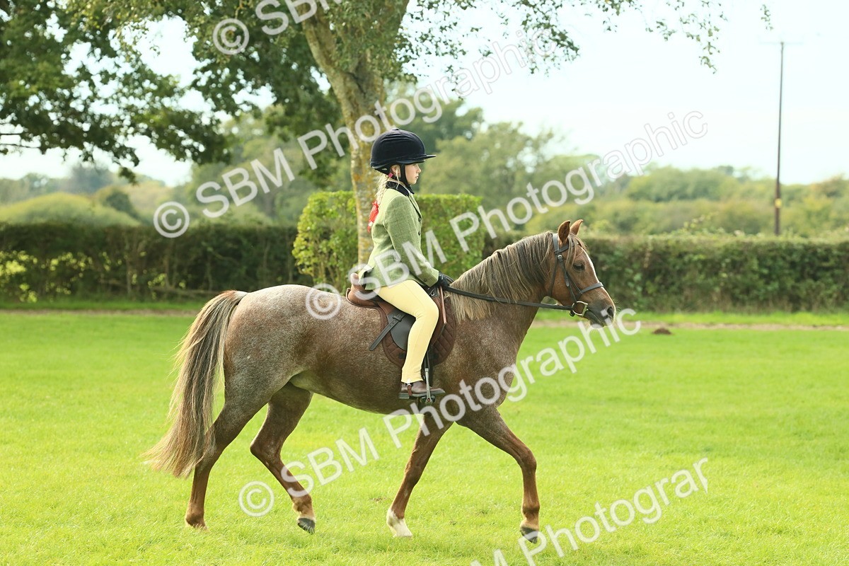 SBM_69802 - S59 - Mountain & Moorland Ridden Small Breeds