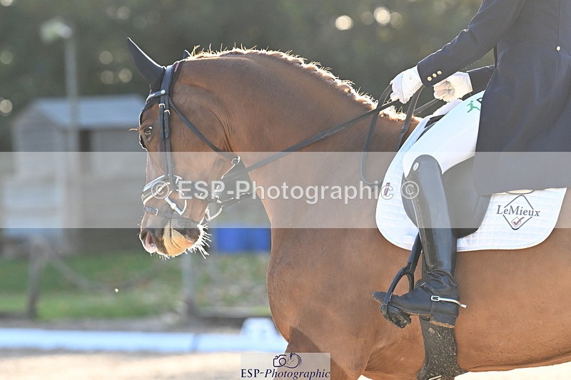 251023A-162259-06053 - B-170-Mollie.Summerland