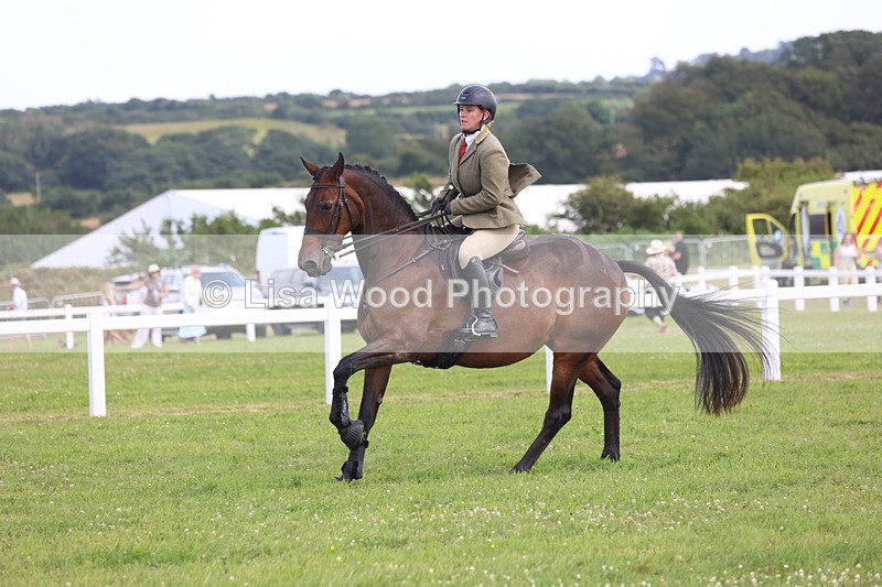 JPP_3785 - Class 23: Working Hunter 80cm