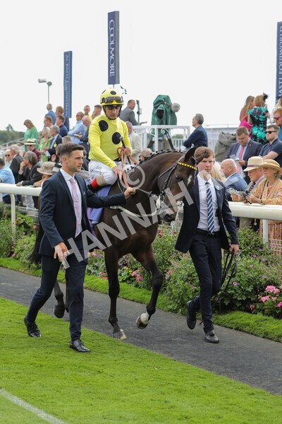 yr19082022r3-18 - Race 3 3.00pm Al Basti Equiworld Dubai Gimcrack Stakes