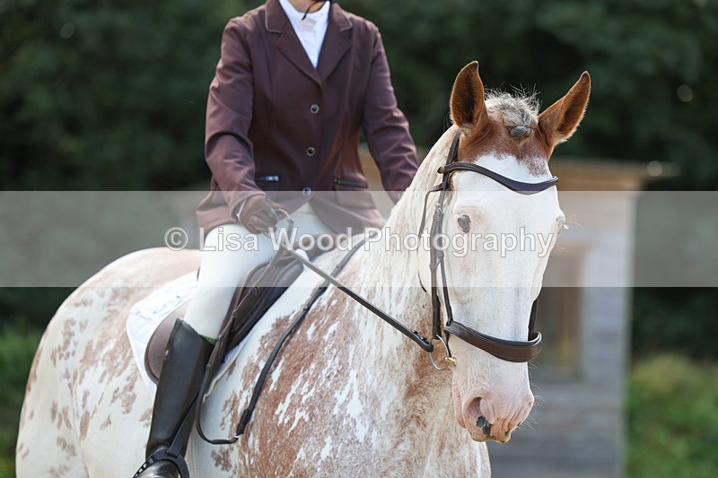 3E7A2407 - Class 1: Intro 4 2024 section A