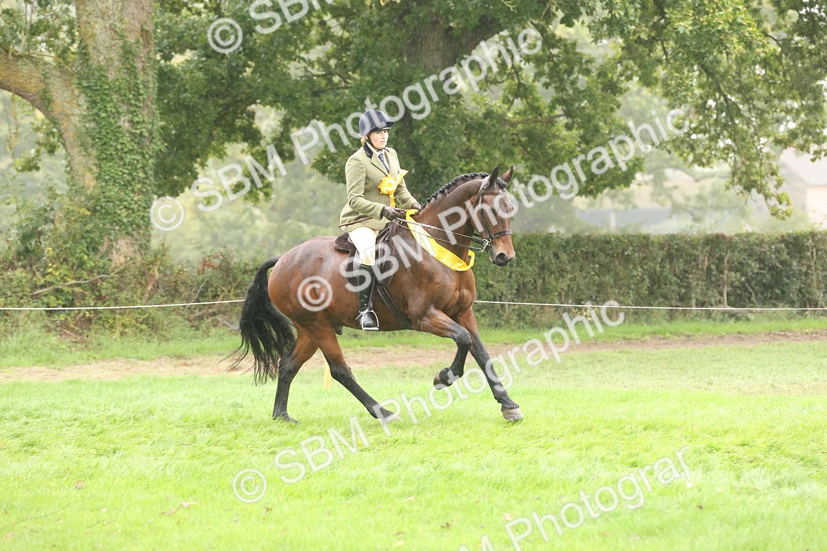 SBM_72910 - Ridden Horse Supreme Championship