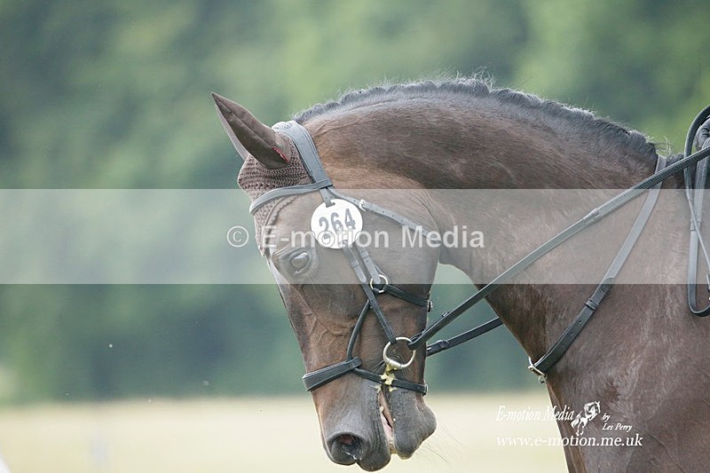 BVRC 030721 613 - Bourne Valley Riding Club Dressage 03/07/21