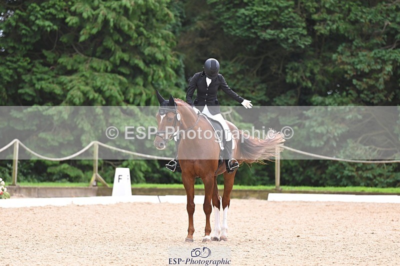 240809-122019-00746 - 185-Daisy.Hedges-Felicia.v