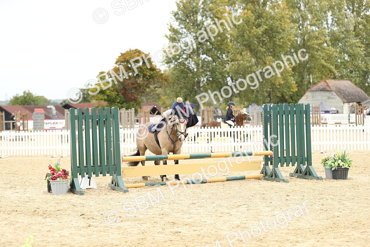 SBM_65729 - J48 - Pairs Jumping Open 70cm & 85cm