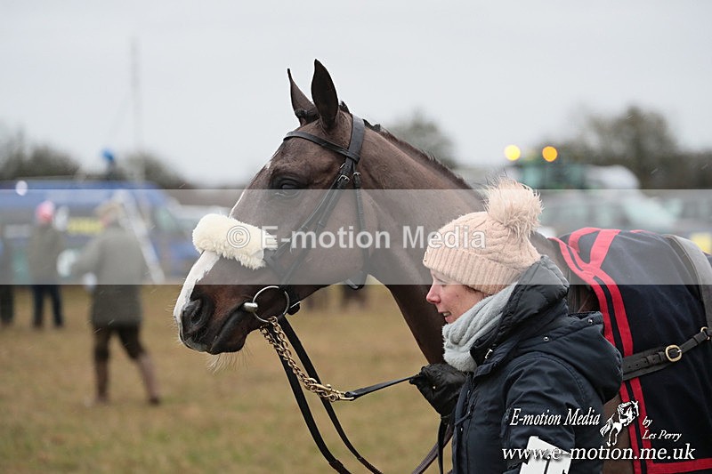 PtP 260125 2 - Cocklebarrow Point-to-Point racing with the Heythrop Hunt 26/01/25