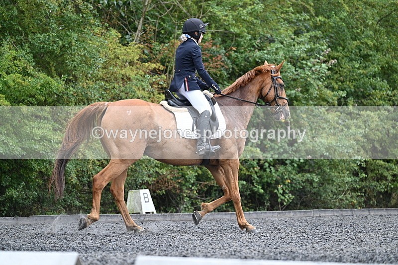 WJ7_7068 - Time 12:53 to 13:18