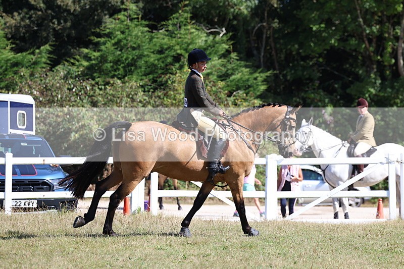 3E7A5825 - Class 5: Working Hunter 90cm