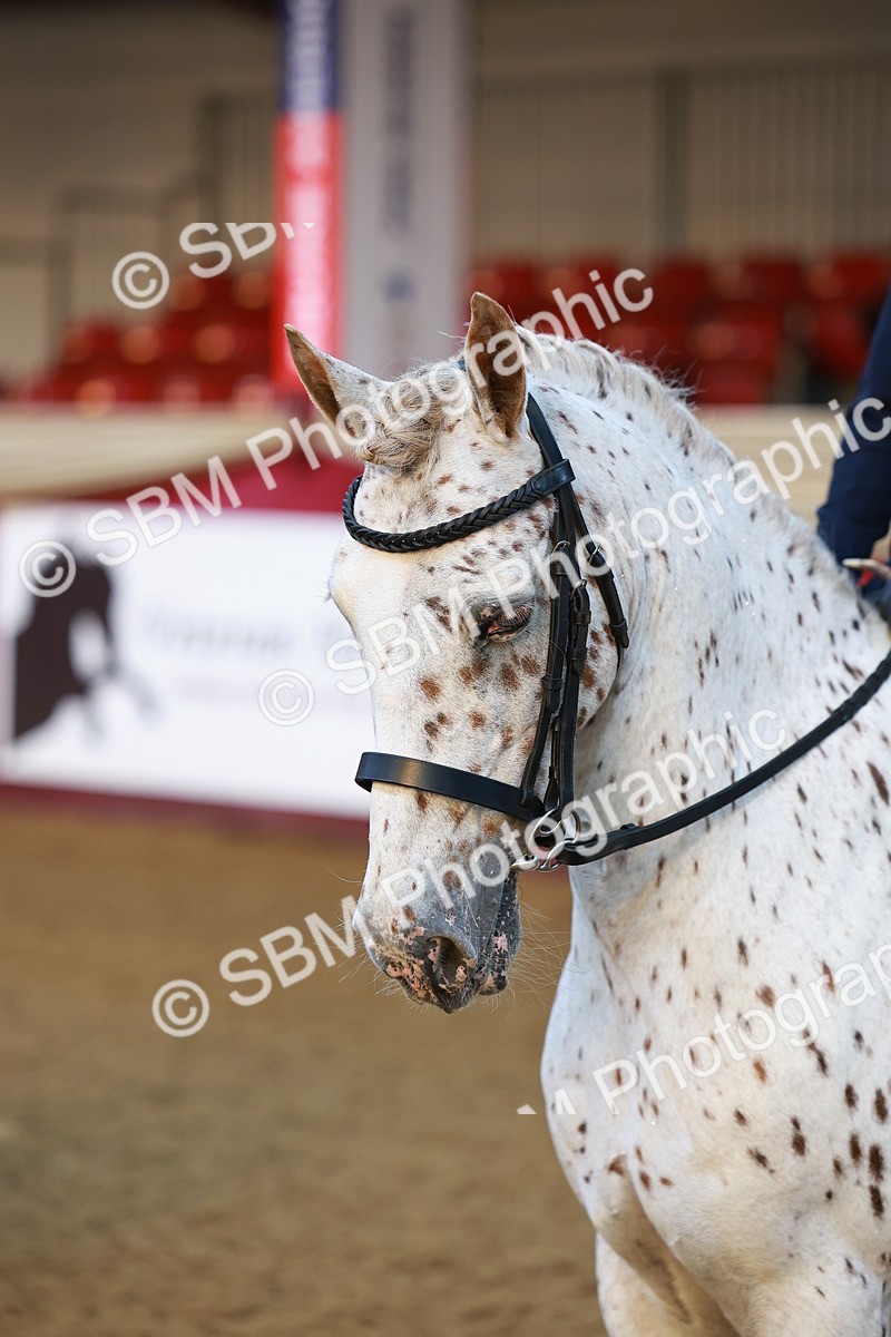 SBM_14606 - Class A - Junior Champ 10 year and Under