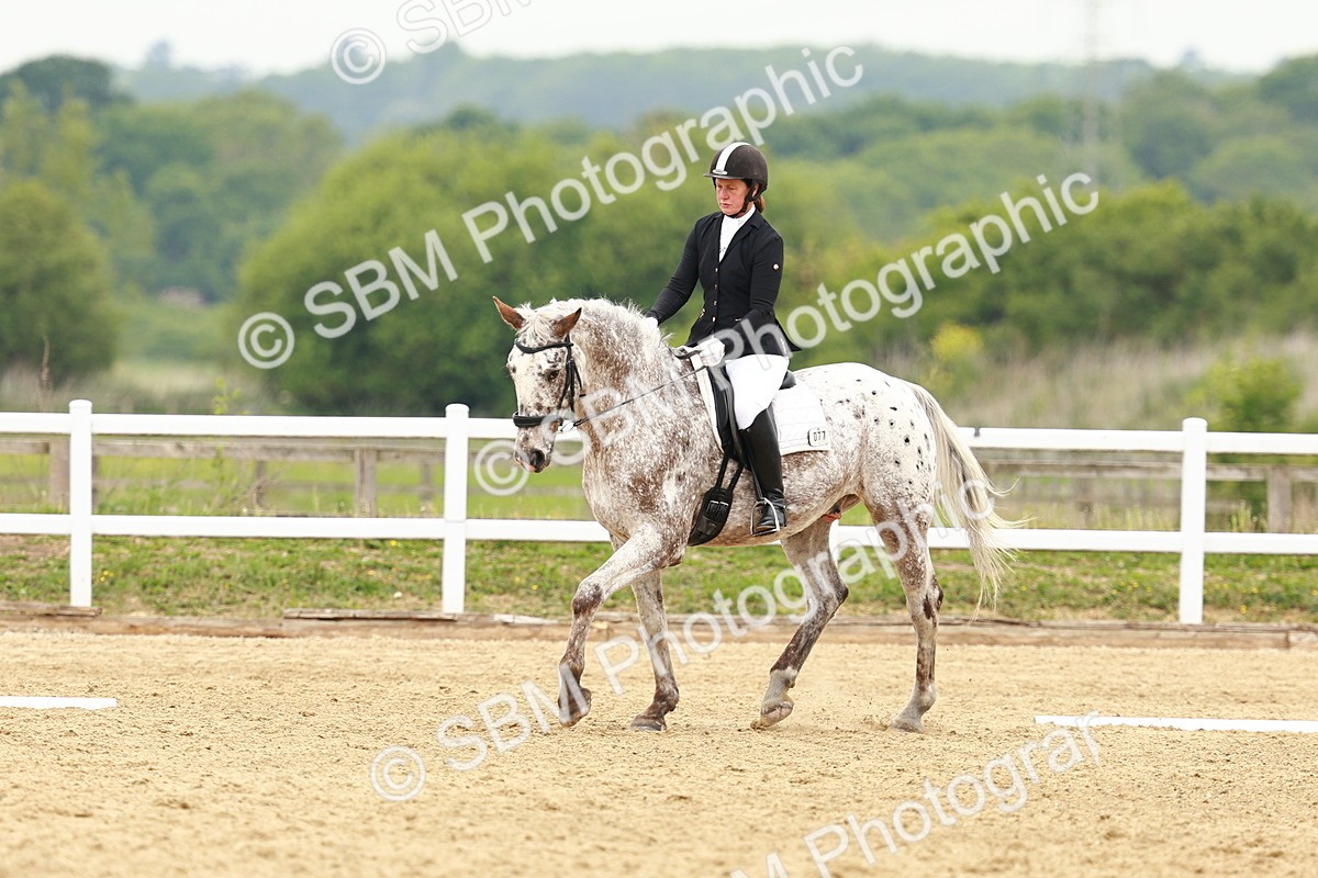 SBM_001259 - Class 7 - Novice 5