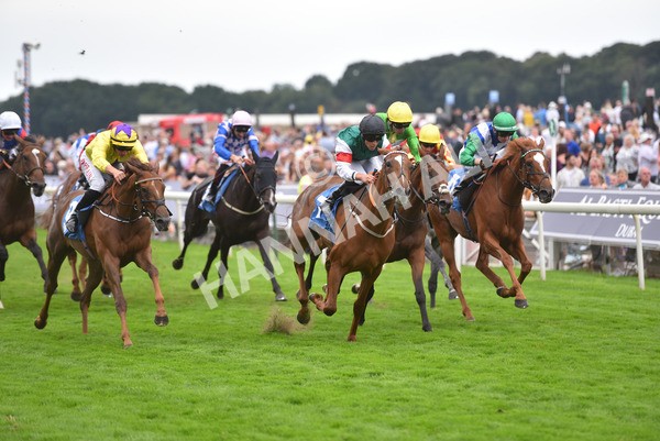 yr20082021r6-34 - Race 6 4.40pm Assured Data Protection British EBF Fillies' Stakes
