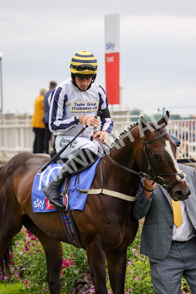 yr24072021r1-42 - Race 1 2.05pm Sky Bet Jump Jockeys Nunthorpe