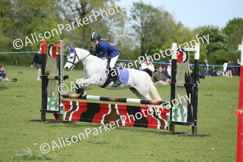 20260426-2021 - Class 15 - Absolute Novice 70cm