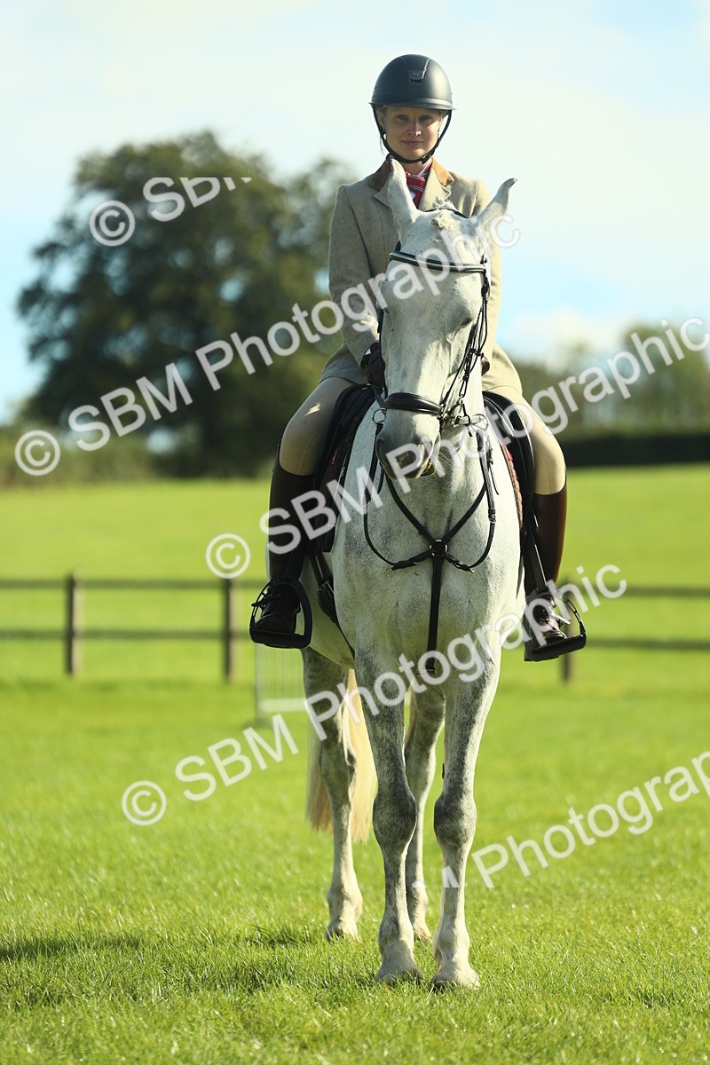 SBM_49895 - S32 - Novice & Newcomers Working Hunter