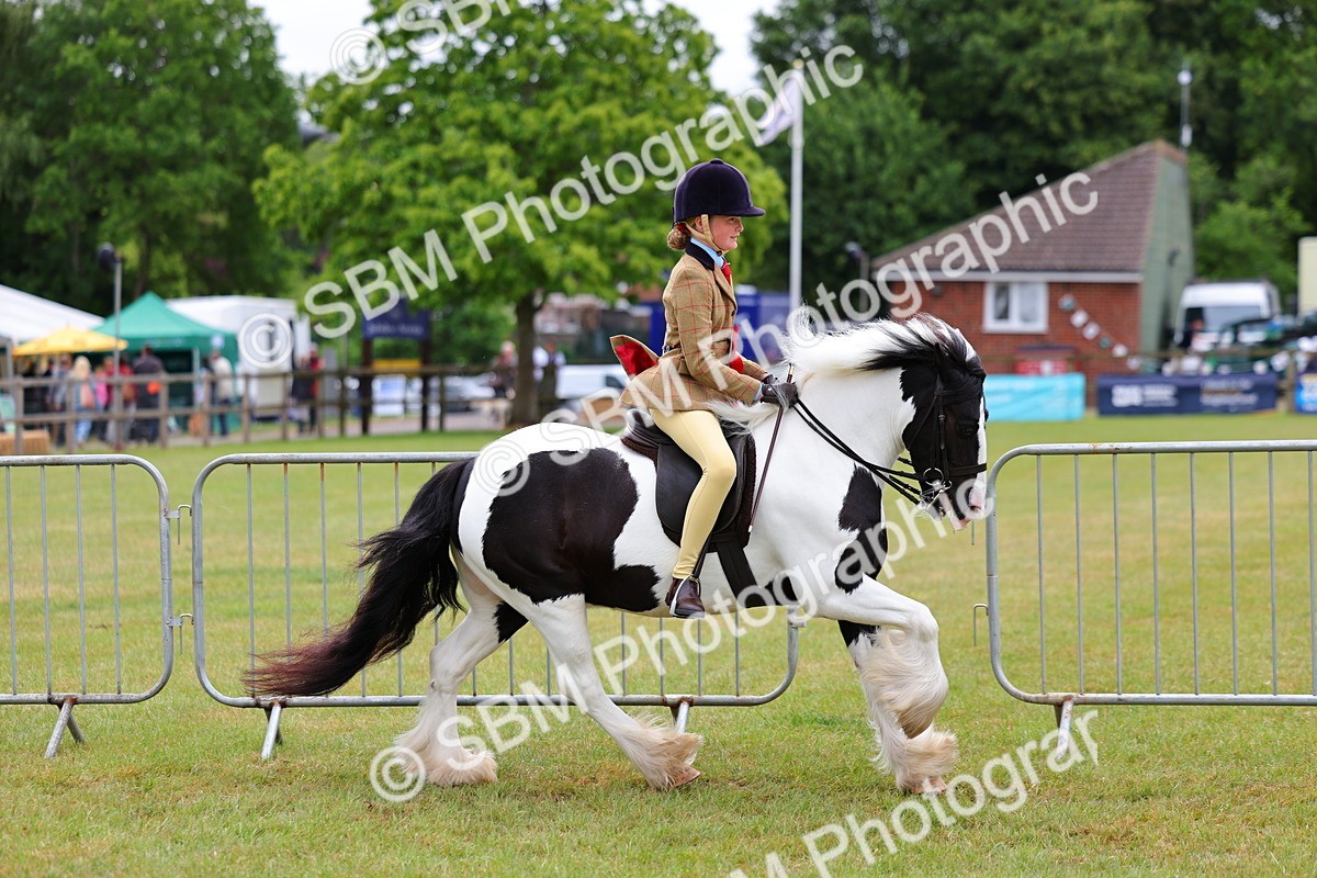SBM_02626 - Class 9-11 Side Saddle including LIHS Rising Star Ladies Show Horse