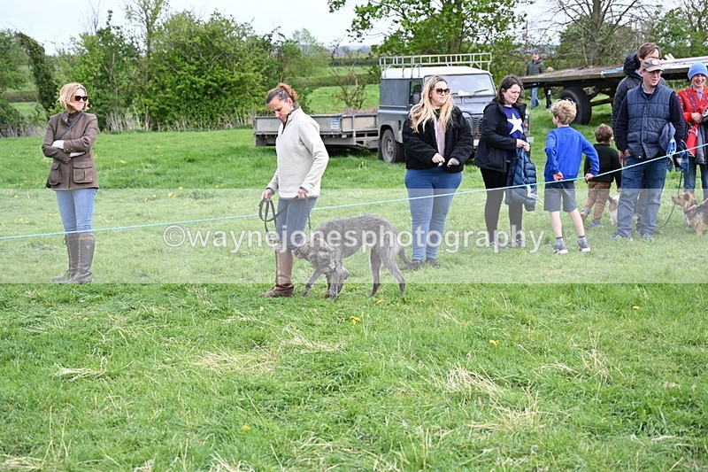 WJ6_8471 - Class 6 Best Rescue