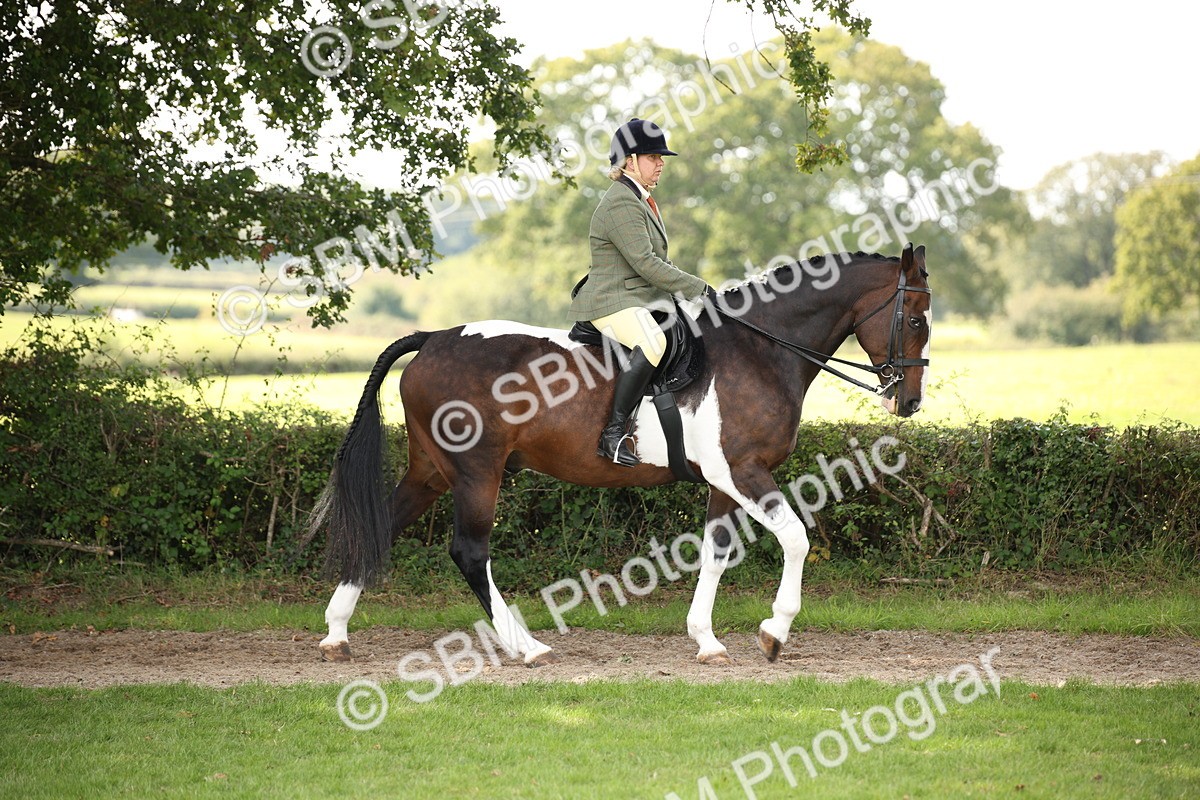 SBM_70061 - S65 - Piebald & Skewbald Horse Ridden