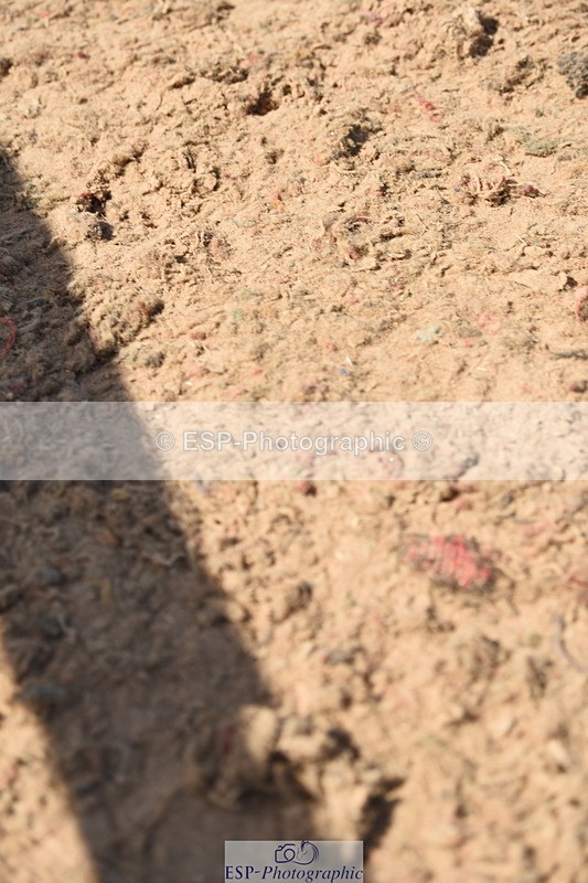 230906A-133838-00470 - Foxhunter & 1.20m Open