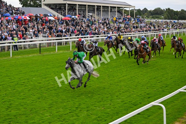 210824-Race 6-Star Of Lady M-5554 - Race 6 4.45pm Visit Irish Yearling Sale With ITM Fillies' Handicap