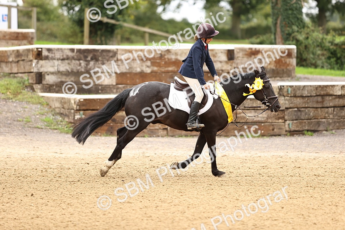 SBM_66741 - J17 - Junior Pony 80cm Championship