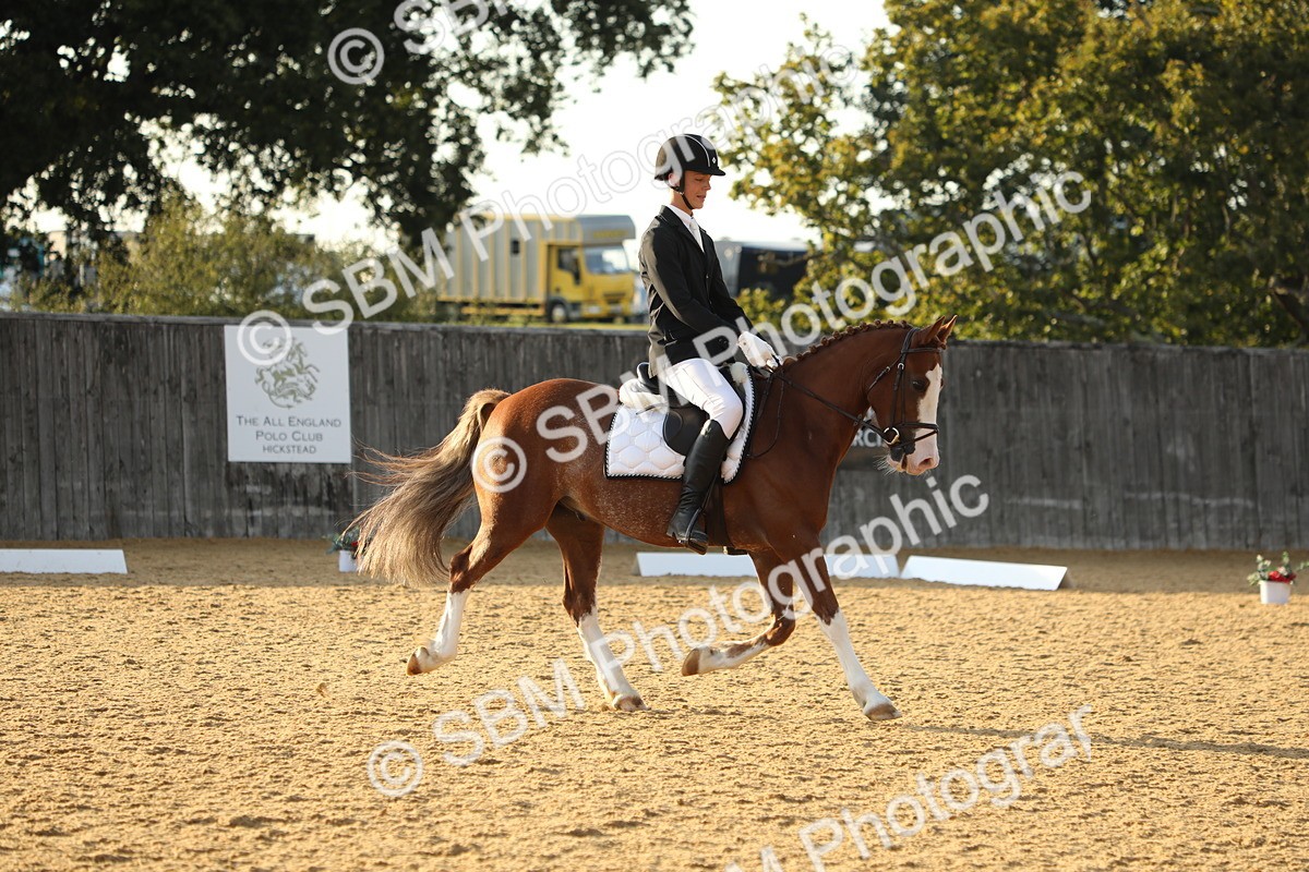 SBM_55233 - D25 - Junior Championships - Novice 24-Elementary 42
