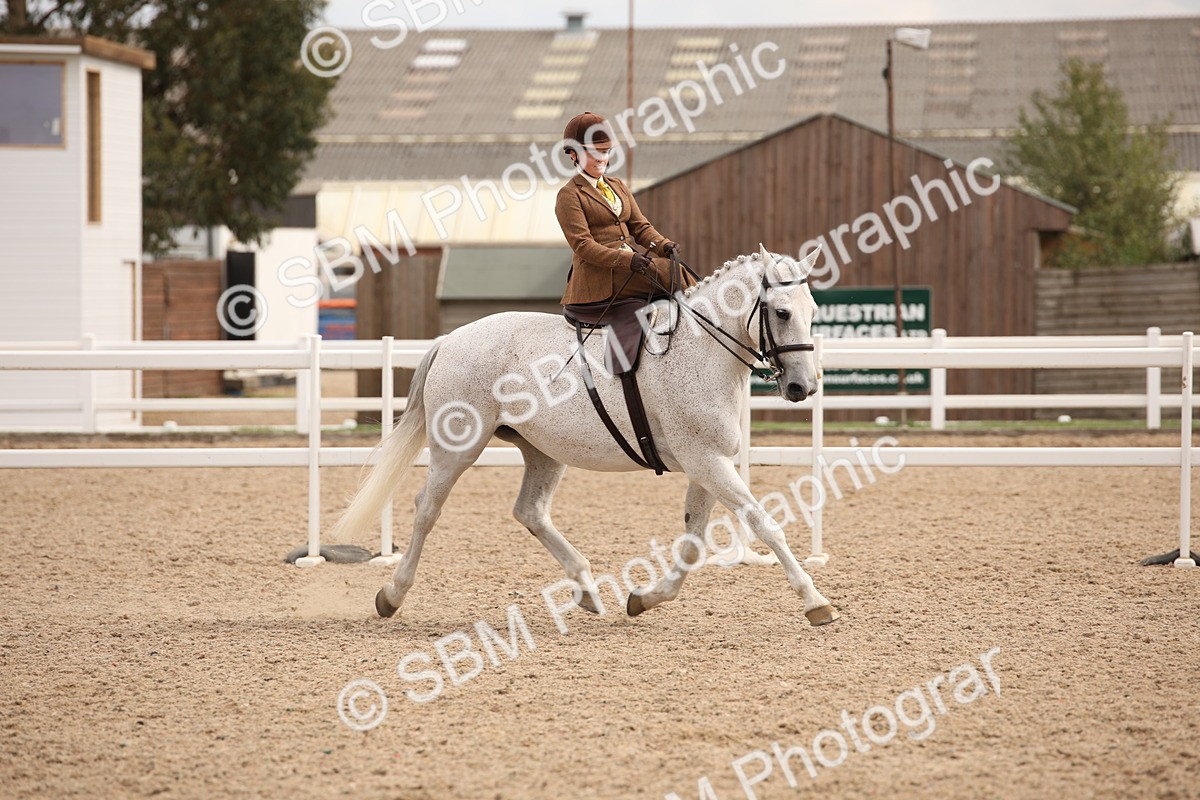 SBM_05427 - Class 22 SSA Equitation