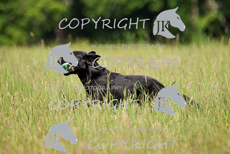 2R6A8564 - 33 Sammy